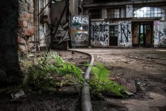 RAW Halle Ernst Thälmann Reichsbahnausbesserungwerk Eastern Exploration Urbex Lost Place
