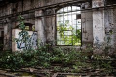 RAW Halle Ernst Thälmann Reichsbahnausbesserungwerk Eastern Exploration Urbex Lost Place
