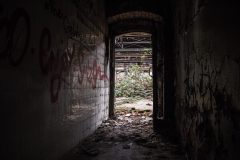 RAW Halle Ernst Thälmann Reichsbahnausbesserungwerk Eastern Exploration Urbex Lost Place