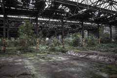 RAW Salbke Reichsbahnausbesserungswerk Magdeburg Exploration Urbex Lost Place