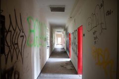 IMG_4145