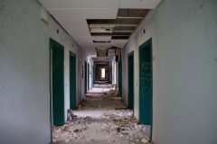IMG_3772