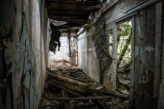 IMG_0807