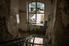 IMG_0814