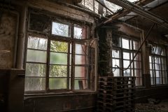 IMG_0866