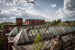 IMG_0899