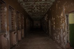 IMG_4389