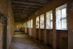 IMG_4405