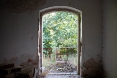 IMG_4433