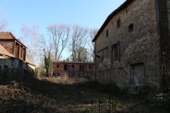 IMG_6861