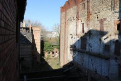 IMG_6947