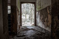 IMG_8469