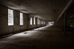 IMG_8554