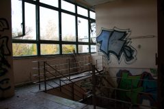 IMG_7708