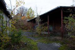 IMG_7731