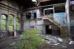 IMG_7765