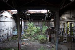 IMG_7767