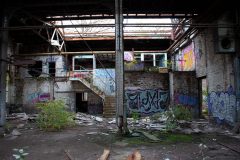 IMG_7770