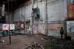 IMG_7785