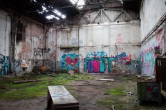 IMG_7786