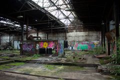 IMG_7803
