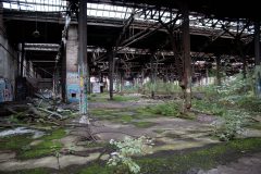 IMG_7817