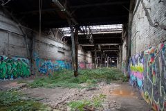IMG_7819