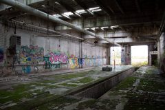 IMG_7851