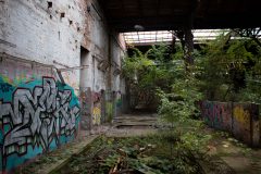IMG_7865