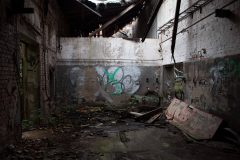 IMG_7867