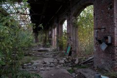 IMG_7868