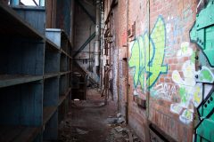 IMG_7885