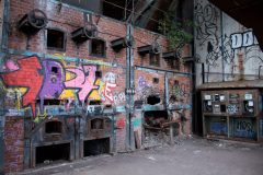 IMG_7887