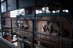 IMG_7906