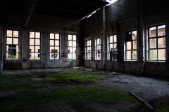 IMG_7933