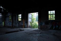 IMG_7975