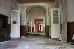 IMG_7498