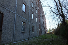 DSCF6782