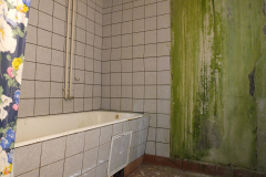 DSCF6795