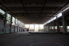 IMG_3526