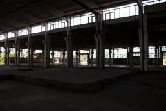 IMG_3531