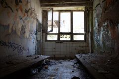 IMG_3545