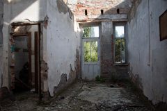 IMG_4848
