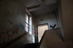 IMG_4868