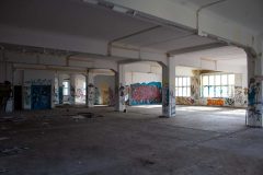 IMG_4870
