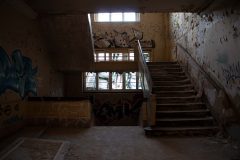 IMG_4895