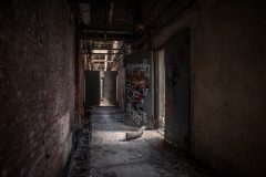 Seidenweberei Silka Glauchau Eastern Exploration Urbex Lost Place
