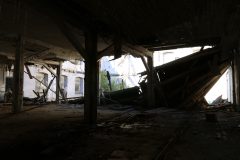 IMG_8296