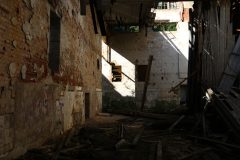 IMG_8395
