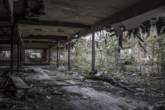 Brauerei Sternburg Leipzig Sternburger Exploration Urbex Lost Place